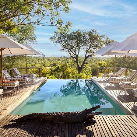 Simbavati Hilltop Lodge Reserva Timbavati Exterior foto