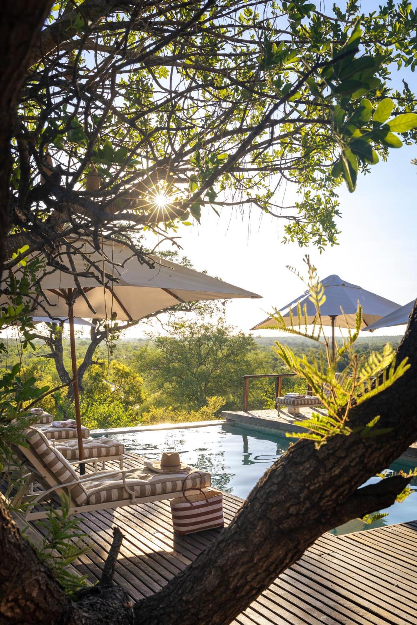 Simbavati Hilltop Lodge Reserva Timbavati Exterior foto
