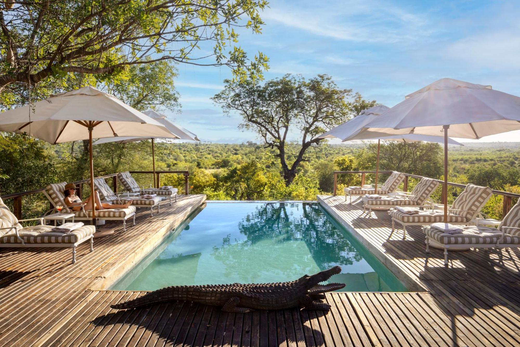 Simbavati Hilltop Lodge Reserva Timbavati Exterior foto