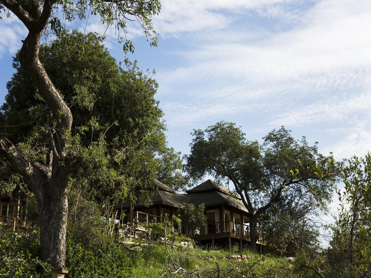 Simbavati Hilltop Lodge Reserva Timbavati Exterior foto